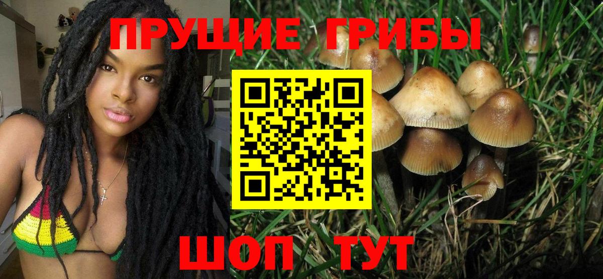 Галлюциногенные грибы мухоморы  наркота  Псилоцибиновые грибы GOLDEN TEACHER  Иваново  Вход с VPN 